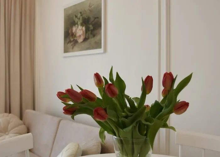 W Centrum Miasta- Park Apartament *